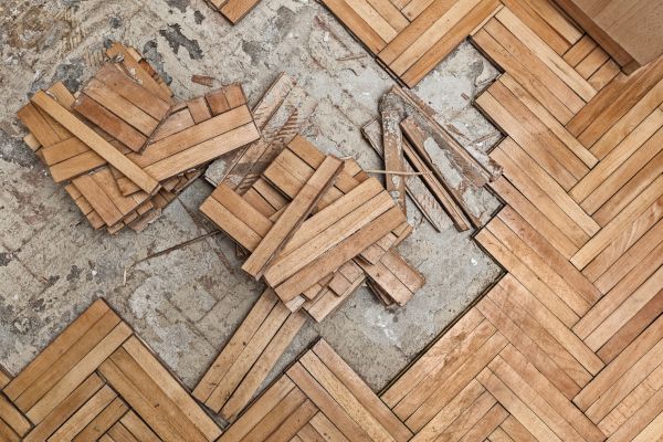 Flooring Demolition in Gainesville